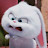 @꿈갱이