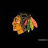 ChicagoBlackhawks101