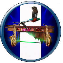 PRODUCCIONES TORRES avatar