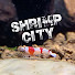 MU_GHyDn_hc-channel-avatar-Shrimp City