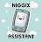 NIGGIX ASSISTANT