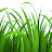 @lawn2learn26 Avatar