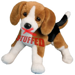 Stuffed Beagle Avatar