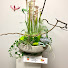 JMp67tZqe_Q-channel-avatar-KenSenter Floral