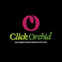 Click Orchid (clickorchid.com) logo