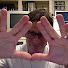 39iR-Z3aUXA-channel-avatar-Juan Bracho
