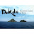 @DOKDO1977