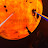@4NXCHANGE's avatar