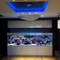 ARGUS Aquarium Design&Garden