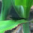 @erosis4209 Avatar