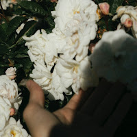 Profile Picture of hi Hi