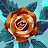 @user-eh8zq3bw2i