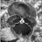 @samanthaswanson9468's avatar