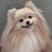 @헤븐맨