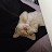 @제리모솔