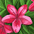 @auliyasari2939 Avatar