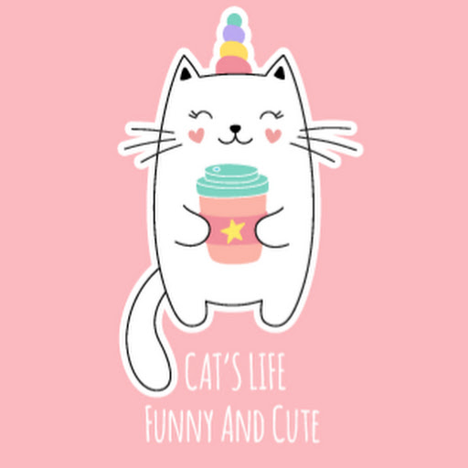 Funny And Cute Cat's Life