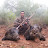 Florentin bowhunting