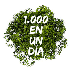 1000 árboles en un día