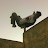 @imadkali's avatar