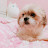 @Saturn_새턴