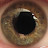 @kirkdegler6516's avatar