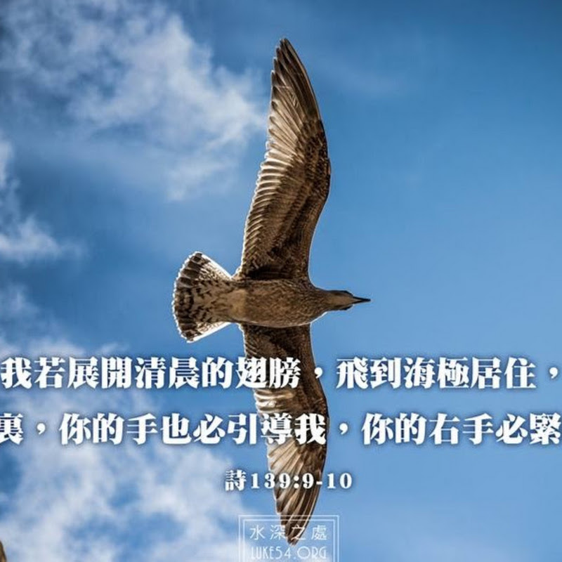 Wangni Lim