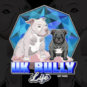 Uk Bully Life
