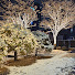 _n9_Czvu2hI-channel-avatar-Chi