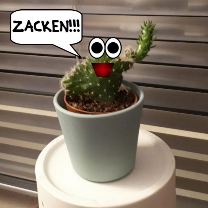 Cyber -_- Zacken