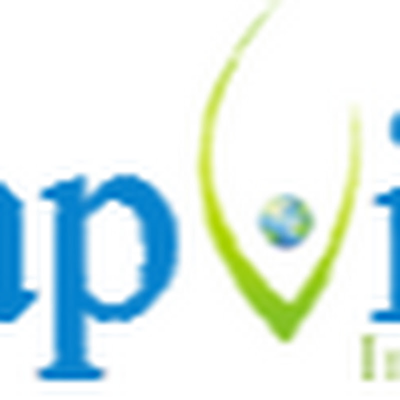 Capvision Investment Advisor