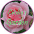 RWoAFGL9Oek-channel-avatar-Crisby's Garden
