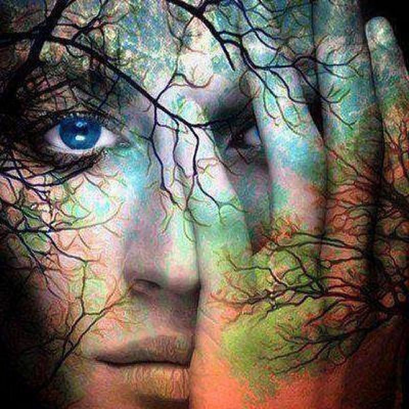 El Espiritu Del Bosque Encantado