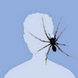 Quitarr Avatar