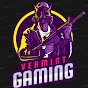 VERMINT logo