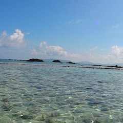 プロペラhアイコン画像