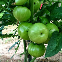 Thumbnail of related channel