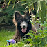 _6qR8aRkwCw-channel-avatar-Back n-the-day