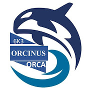 Orcinus Orca