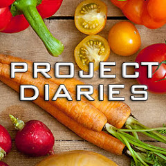 Project Diaries net worth
