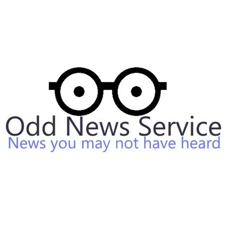 OddNewsClips