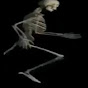 Spanish Skeleton