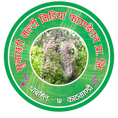 Sunakhari Multimedia