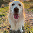 4TItF1venCM-channel-avatar-This is Bailey