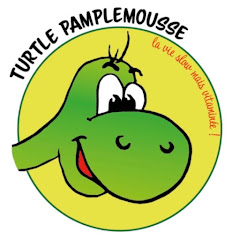 Turtle Pamplemousse net worth
