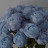 @user-pw6wl4xf9k