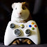 KjYbN8qPwh8-channel-avatar-FearThaSwede