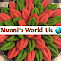 6MQnY0aTymo-channel-avatar-Munni's World Uk