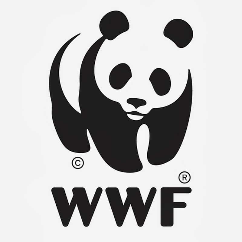 wwfthailandchannel