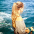 DaniPO_8fWg-channel-avatar-Pilarns